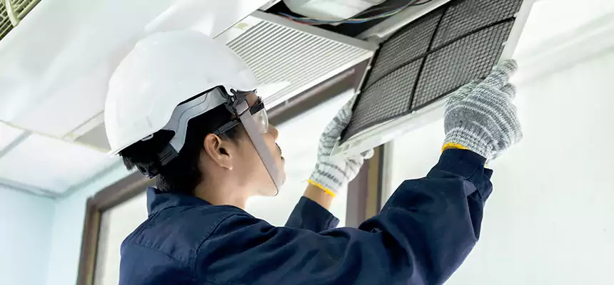 Our Mold & Mildew Removal from Air Ducts Services in Glendale, CA