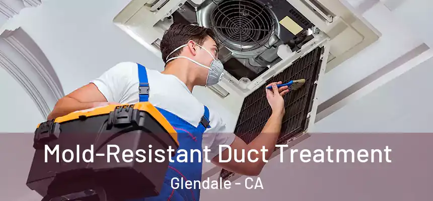  Mold-Resistant Duct Treatment Glendale - CA