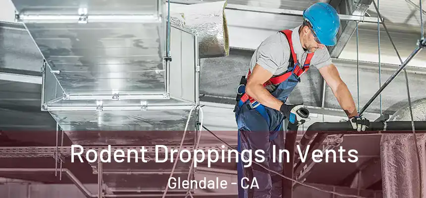  Rodent Droppings In Vents Glendale - CA