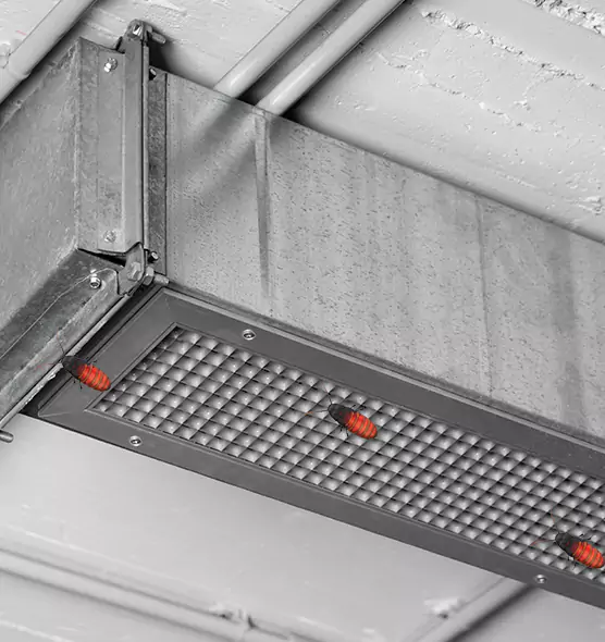 About Air Duct Cockroach Removal in Glendale, CA