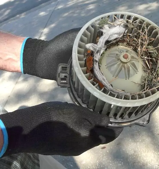 About Air Duct Mice Removal in Glendale, CA