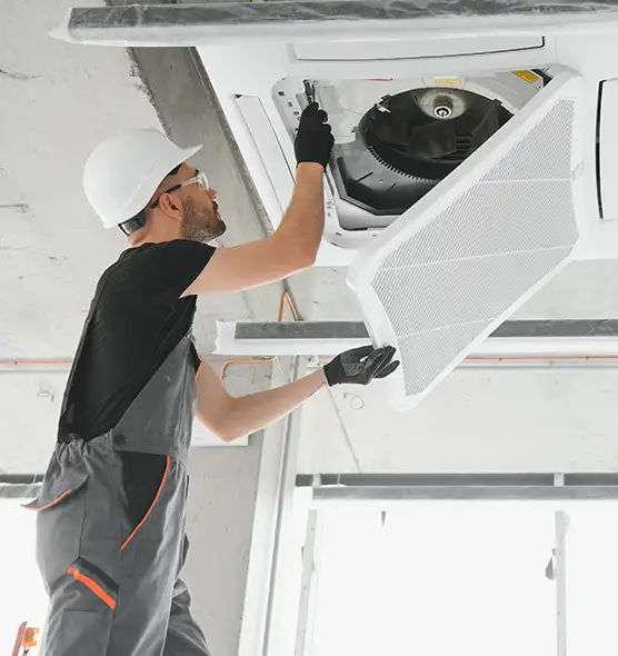 About Air Duct Rodent Removal in Glendale, CA