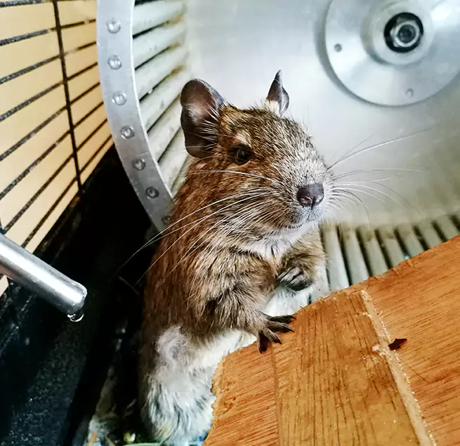 Why Homeowners & Businesses Trust Us Glendale, CA