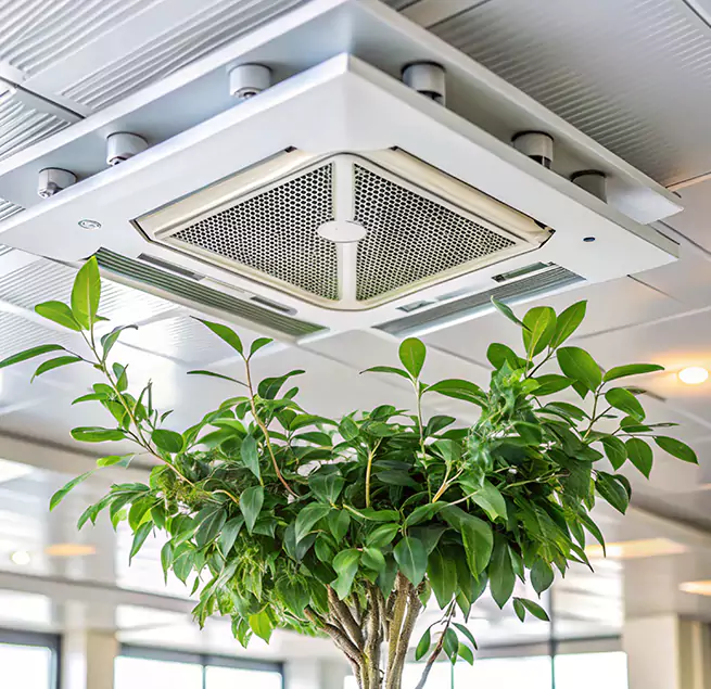 Why Homeowners & Businesses Trust Us in Glendale, CA?