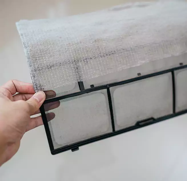 Why Homeowners & Businesses Trust Us in Glendale, CA?