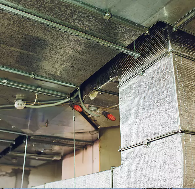 Why Homeowners & Businesses Trust Us Glendale, CA?