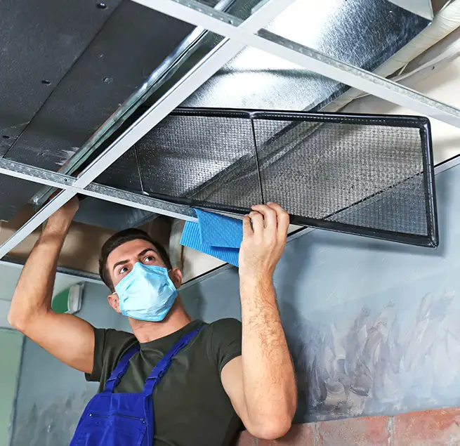 Why Homeowners & Businesses Trust Us in Glendale, CA?