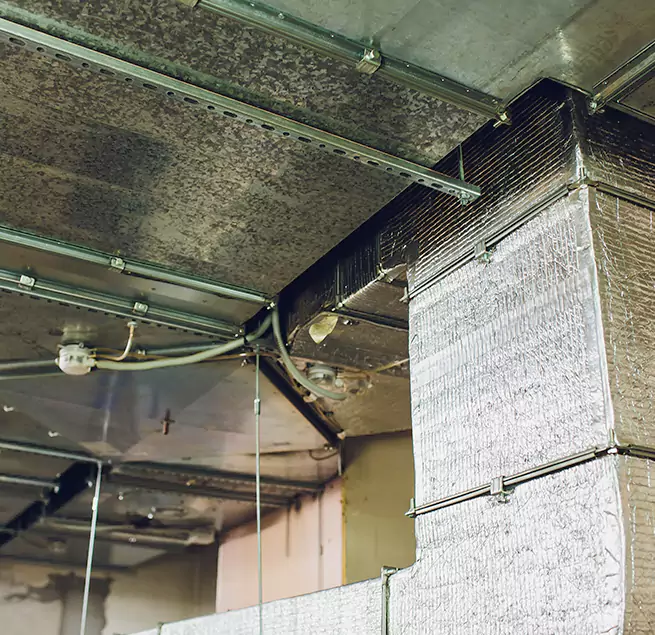 Why Homeowners & Businesses Trust Us in Glendale, CA?