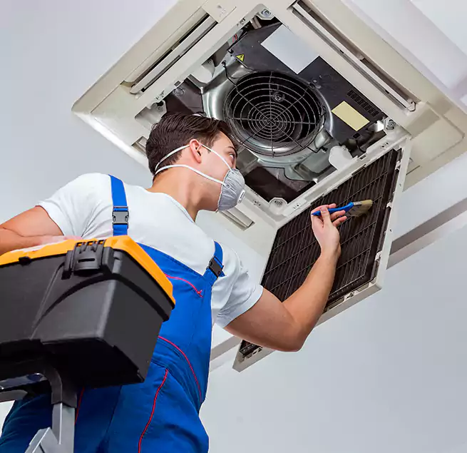 Why Homeowners & Businesses Trust Us in Glendale, CA?